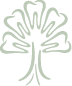 Grove dental tree icon