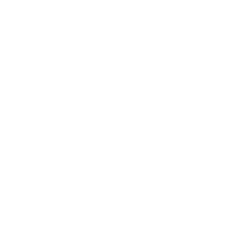 American Academy of Facial Esthetics Logo
